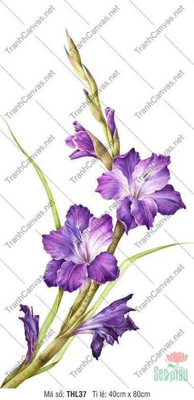 Tranh Hoa Đẹp Treo Phòng Khách THL37, Tranh Trang Trí