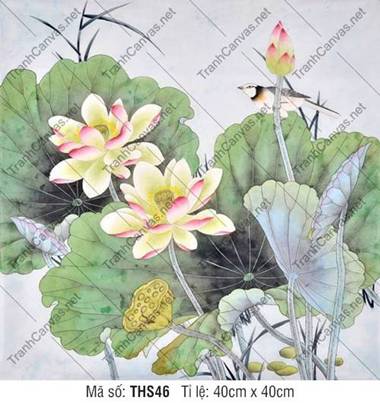 Hình Ảnh Hoa Sen Đẹp THS46, Tranh Hoa Sen Đẹp Nhất
