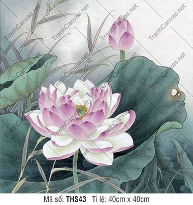 Tranh Hoa Sen Màu Tím THS43, Mẫu Tranh Hoa Sen Đẹp