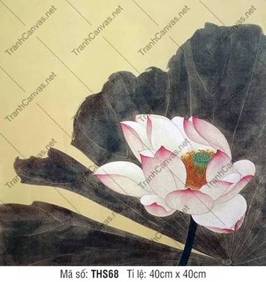 Tranh Hoa Sen Phòng Khách THS68, Hình Hoa Sen Đẹp