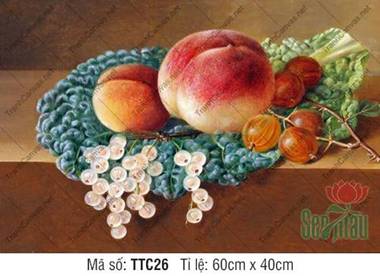 Tranh In Tĩnh Vật TTC26, Tranh Tĩnh Vật Trang Trí