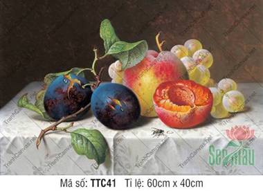 Tranh Tĩnh Vật TTC41, Tranh Tĩnh Vật Đơn Giản Nhất