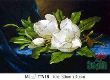 Tranh In Tĩnh Vật TTV16, Tranh Tĩnh Vật Siêu Đẹp